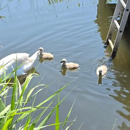 2 Raumwohnung Mit Sonniger Terrasse Und Seeblick Daire *