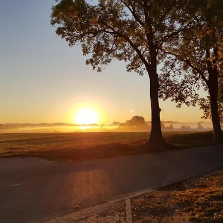 Daire 2 Raumwohnung Mit Sonniger Terrasse Und Seeblick