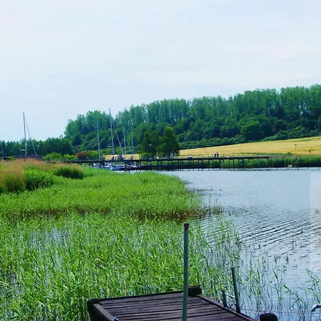 2 Raumwohnung Mit Sonniger Terrasse Und Seeblick Daire
