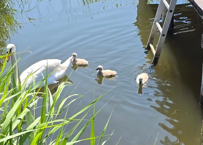 2 Raumwohnung Mit Sonniger Terrasse Und Seeblick Apartment *