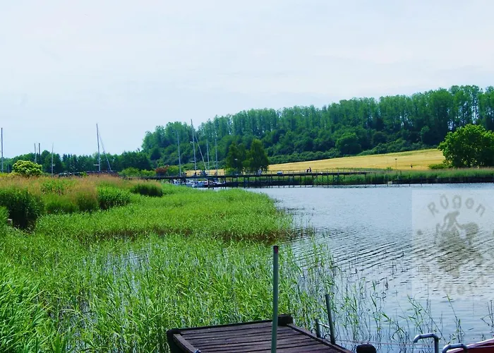 2 Raumwohnung Mit Sonniger Terrasse Und Seeblick Apartment